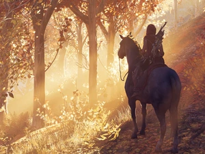 form, game, Horse, forest, rider, Assassins Creed Odyssey