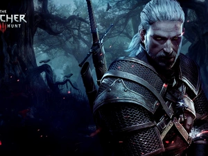 game, The Witcher 3: Wild Hunt, Geralt of Rivia, The Witcher 3: Wild Hunt