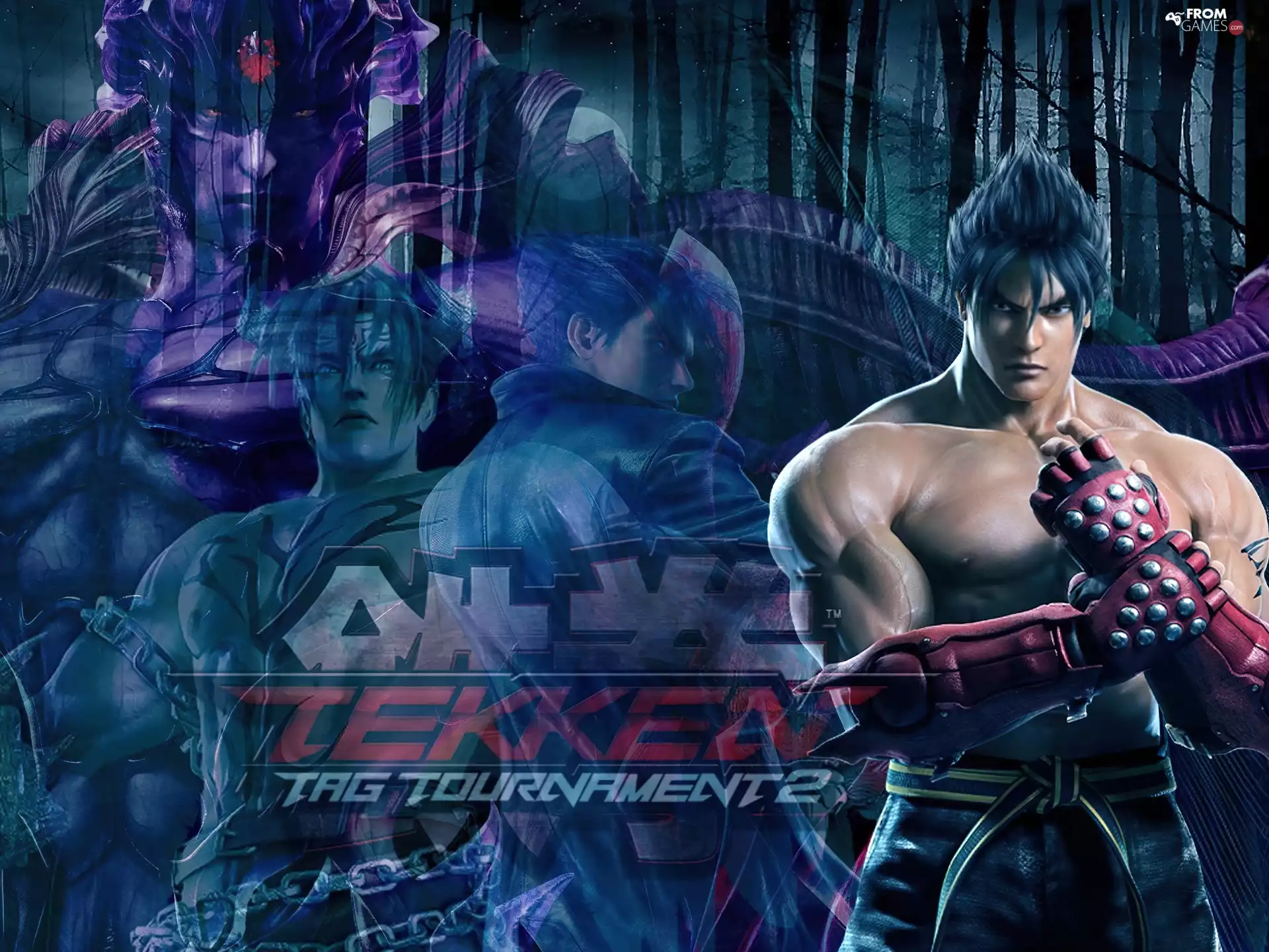 Tekken Tag Tournament 2, Jin Kazama