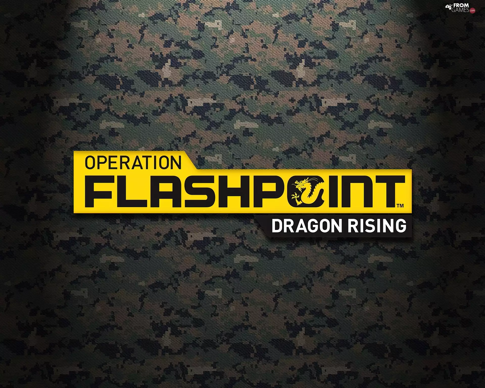 logo, Operation Flashpoint 2