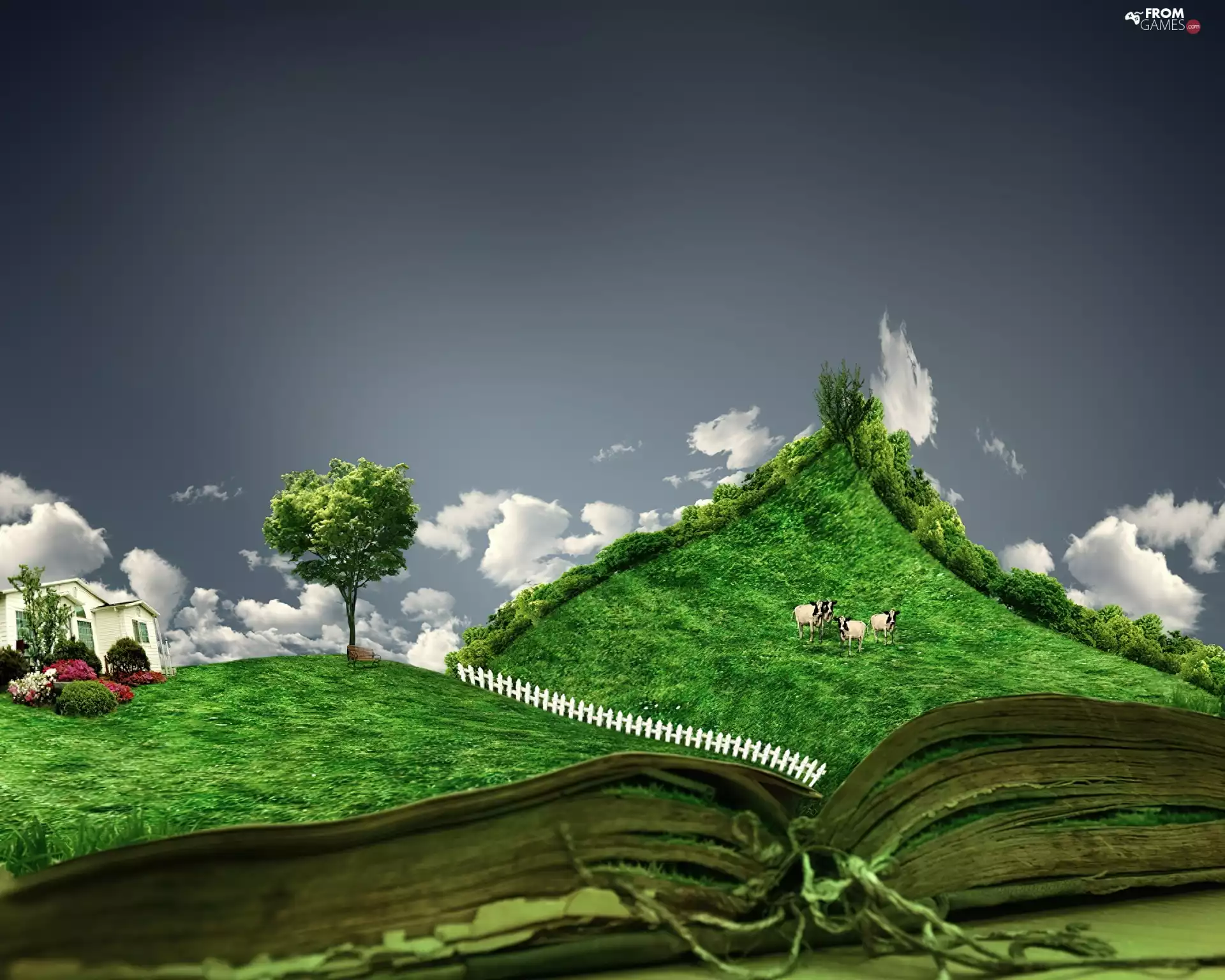 animals, Book, Meadow