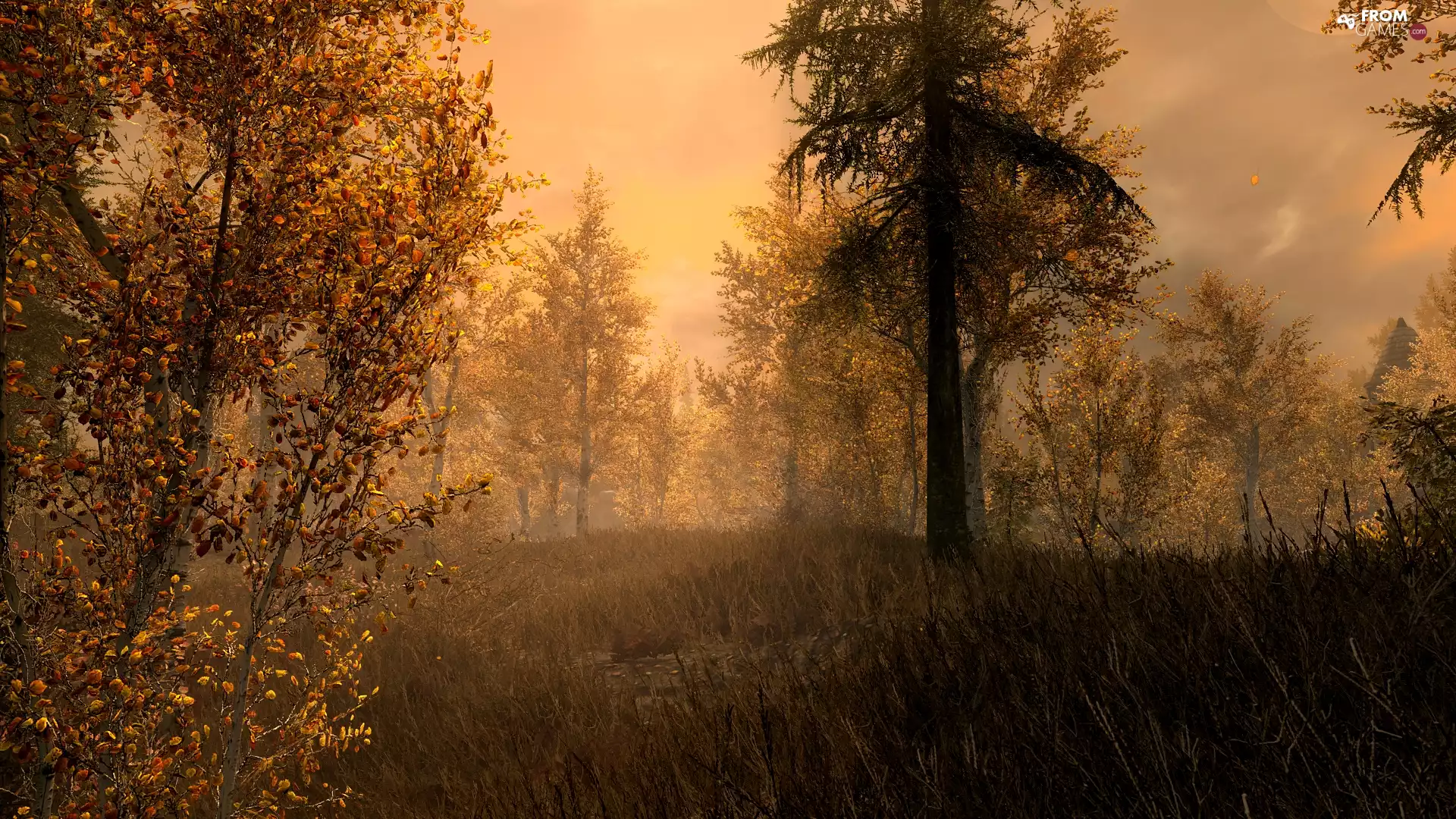 autumn, game, trees, viewes, forest, The Elder Scrolls V: Skyrim