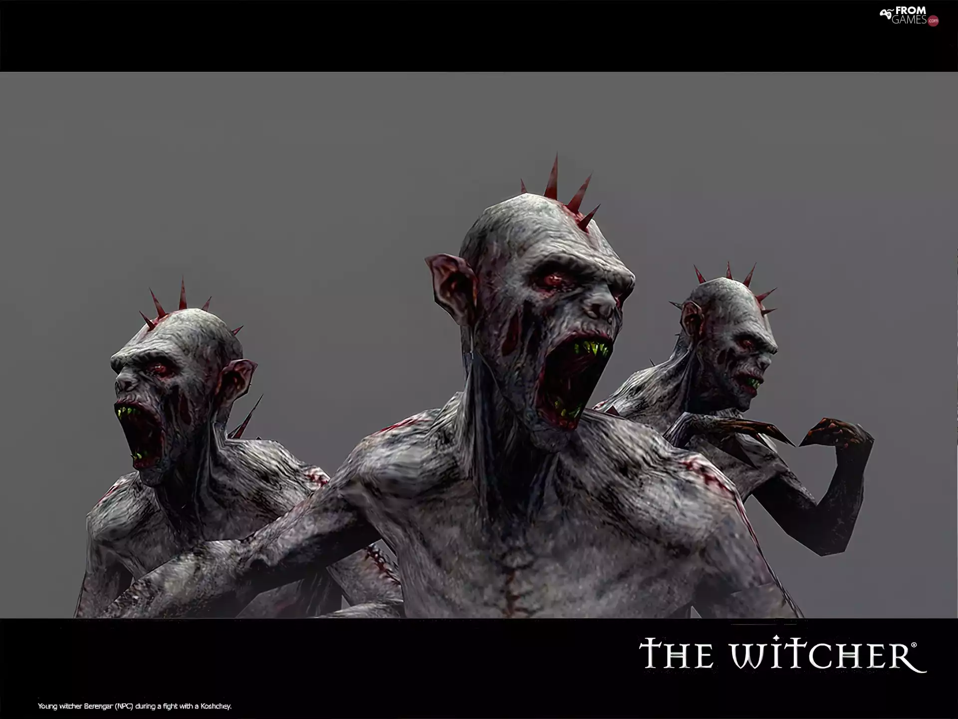 monster, canines, the witcher, Spikes