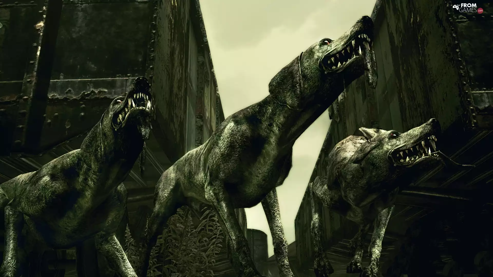 Resident Evil 5, angry, Dogs