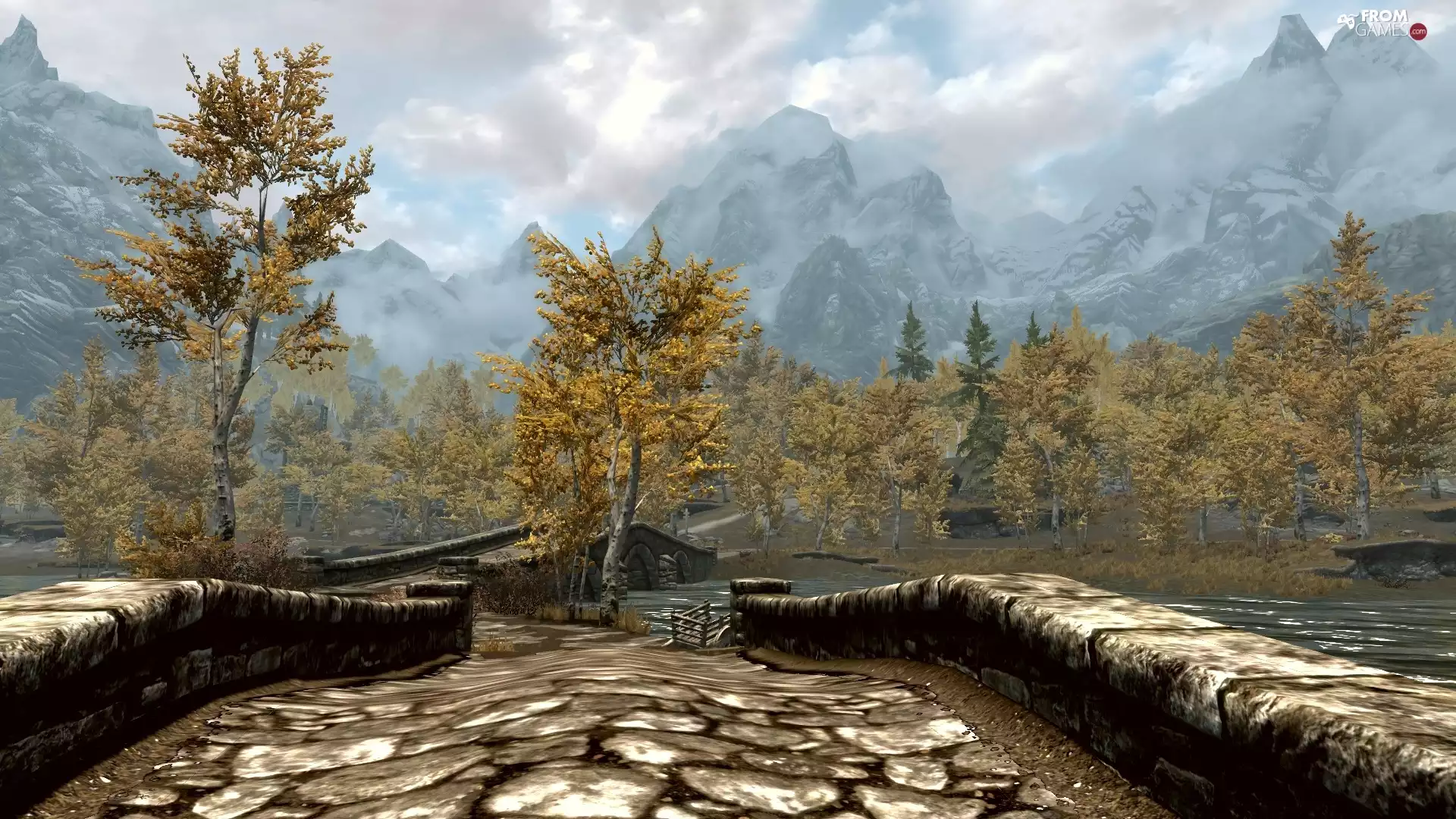 Screen, Computer, Skyrim, game