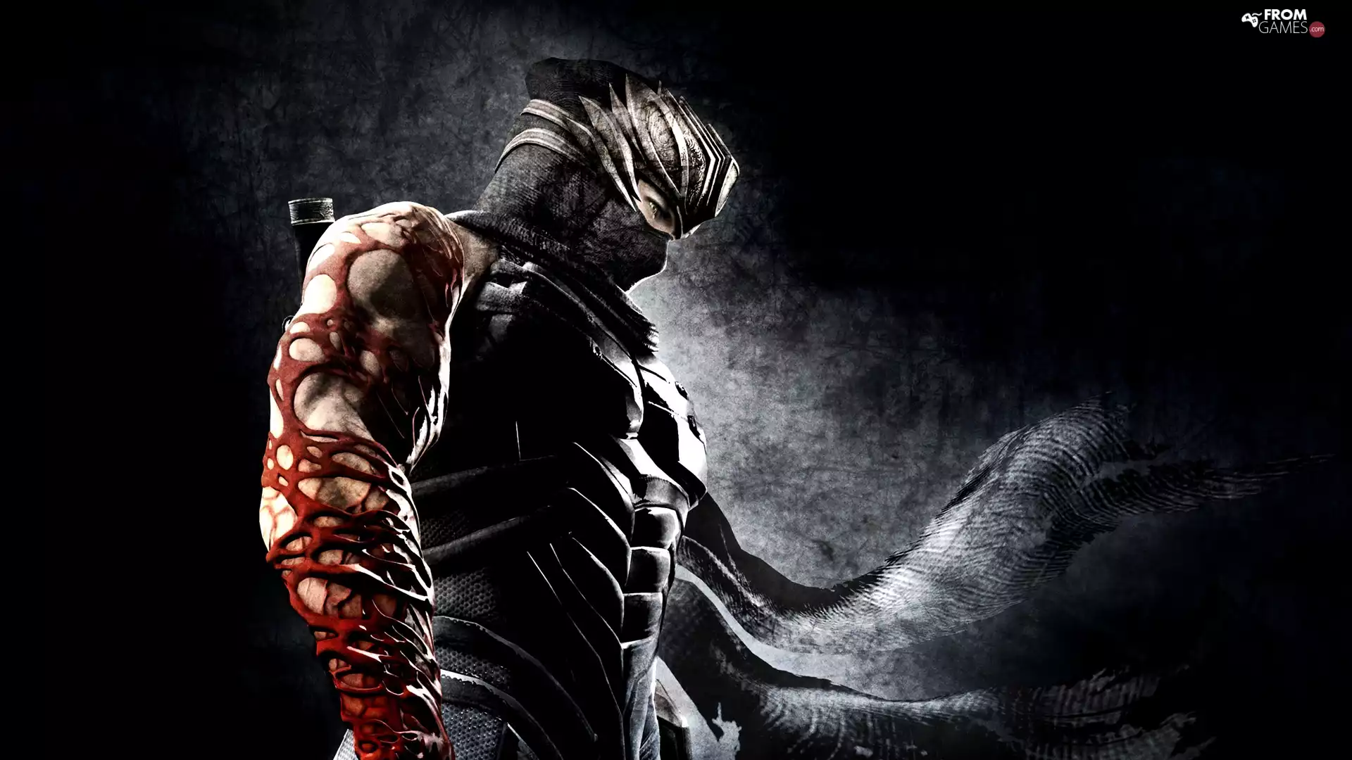 Ninja Gaiden, Ryu Hayabusa