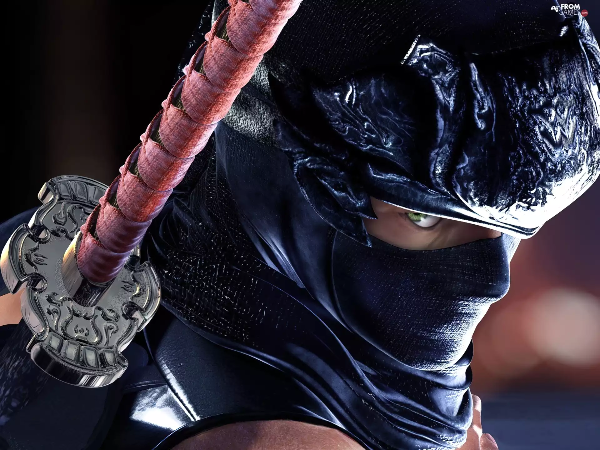 Ninja Gaiden, Ryu Hayabusa