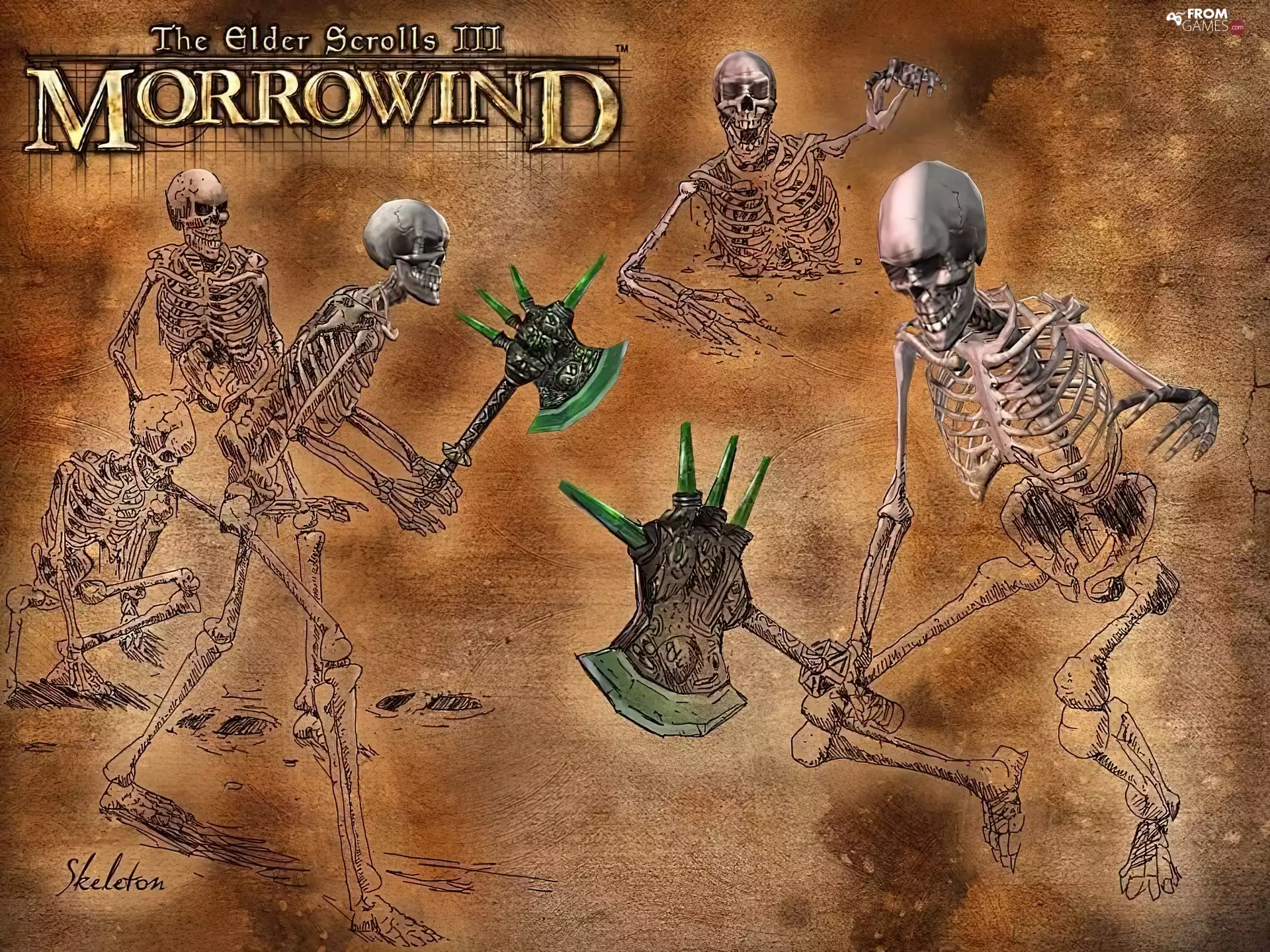The Elder Scrolls III: Morrowind, skeletons