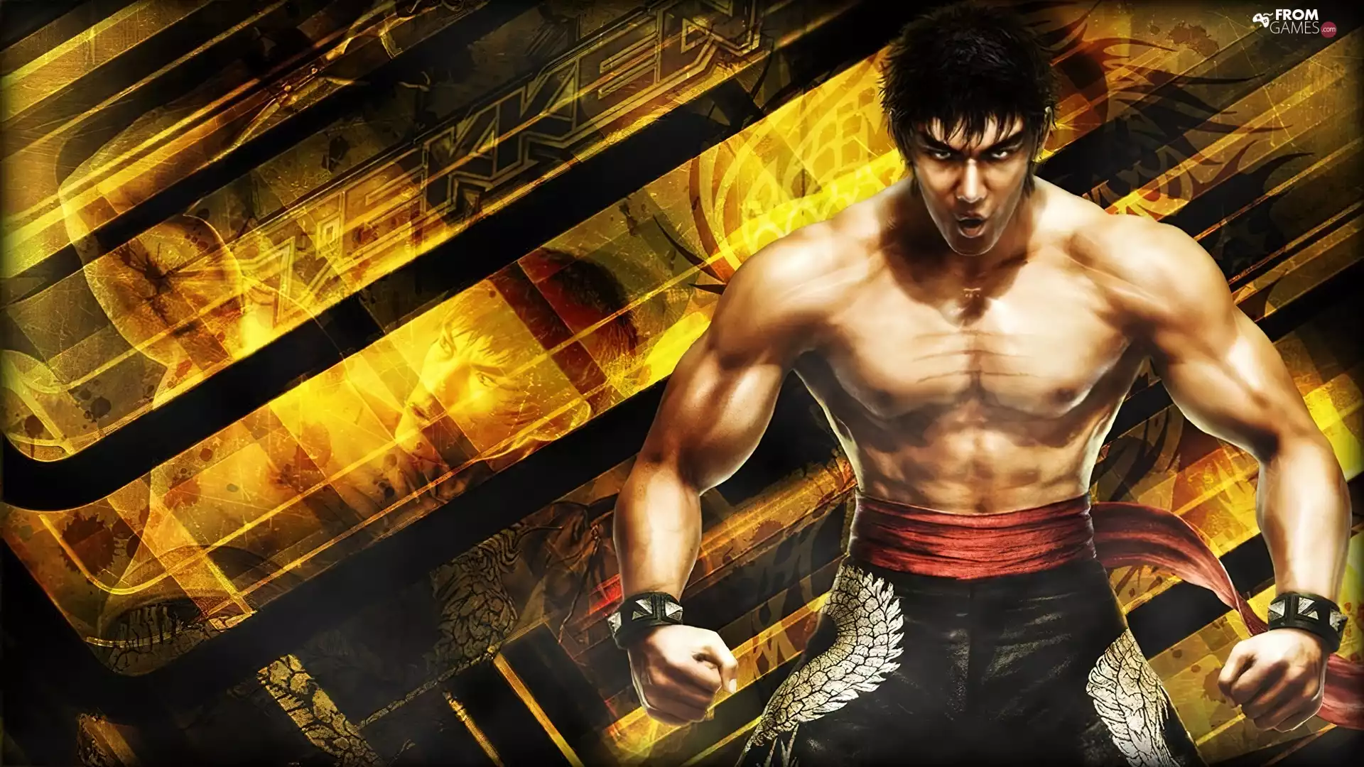 Tekken 6, Marshal Law