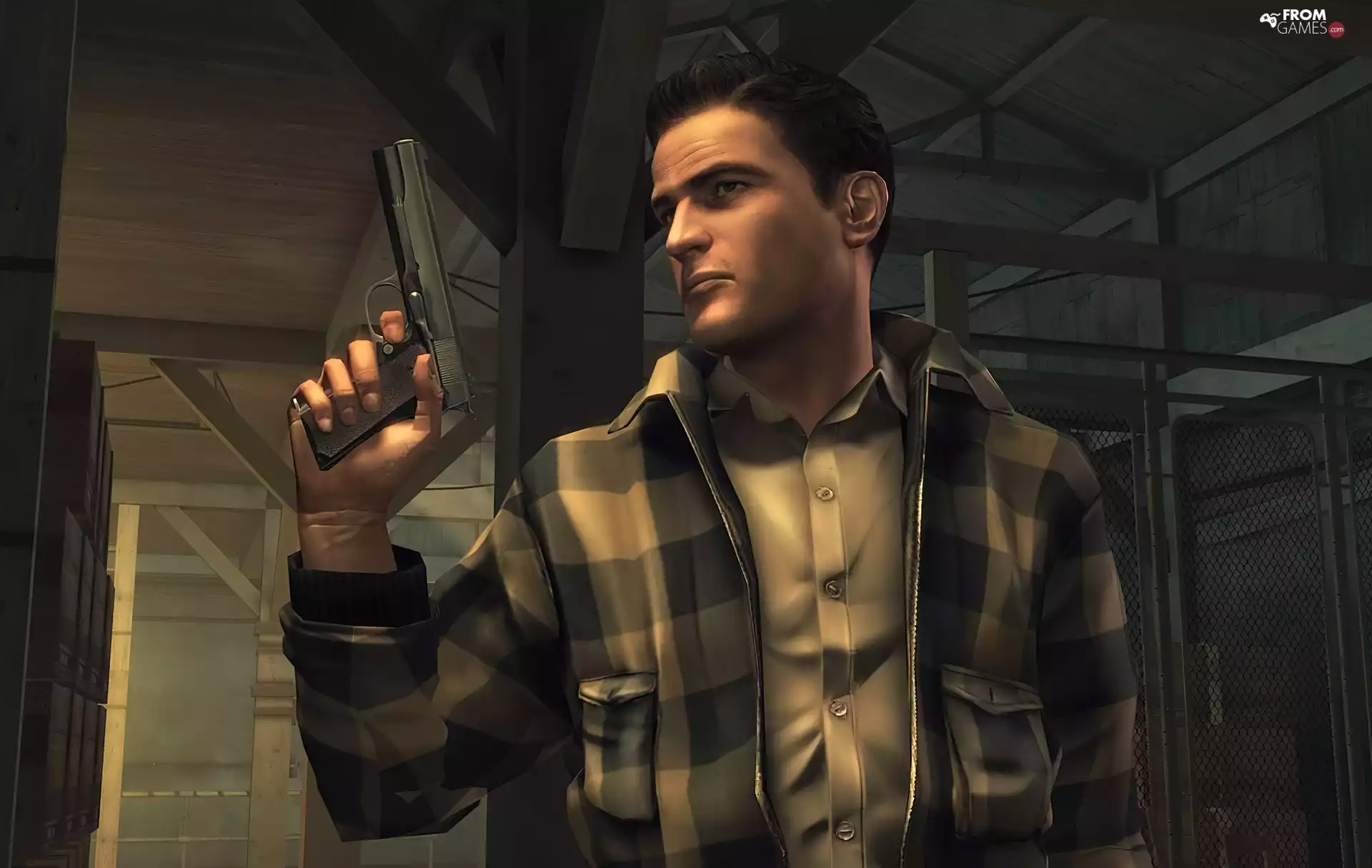 Weapons, Mafia2, a man