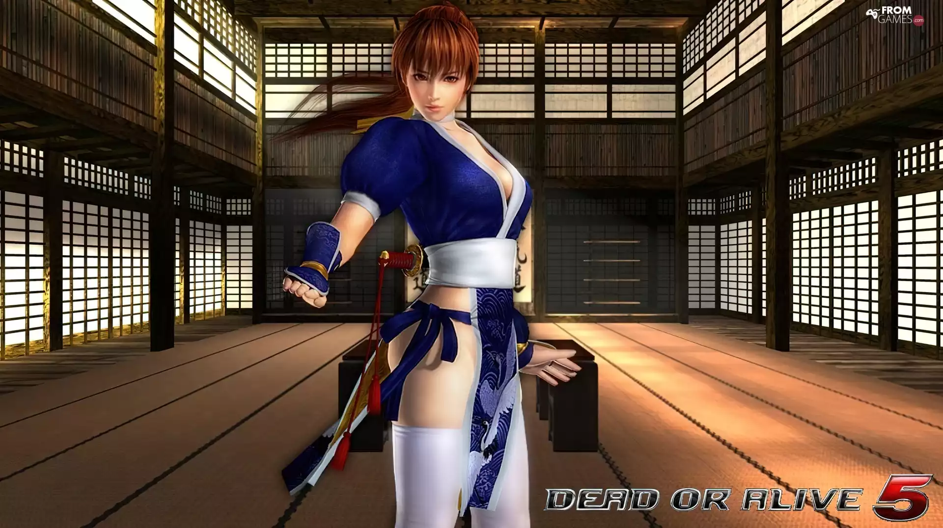 Dead Of Alive 5, Kasumi
