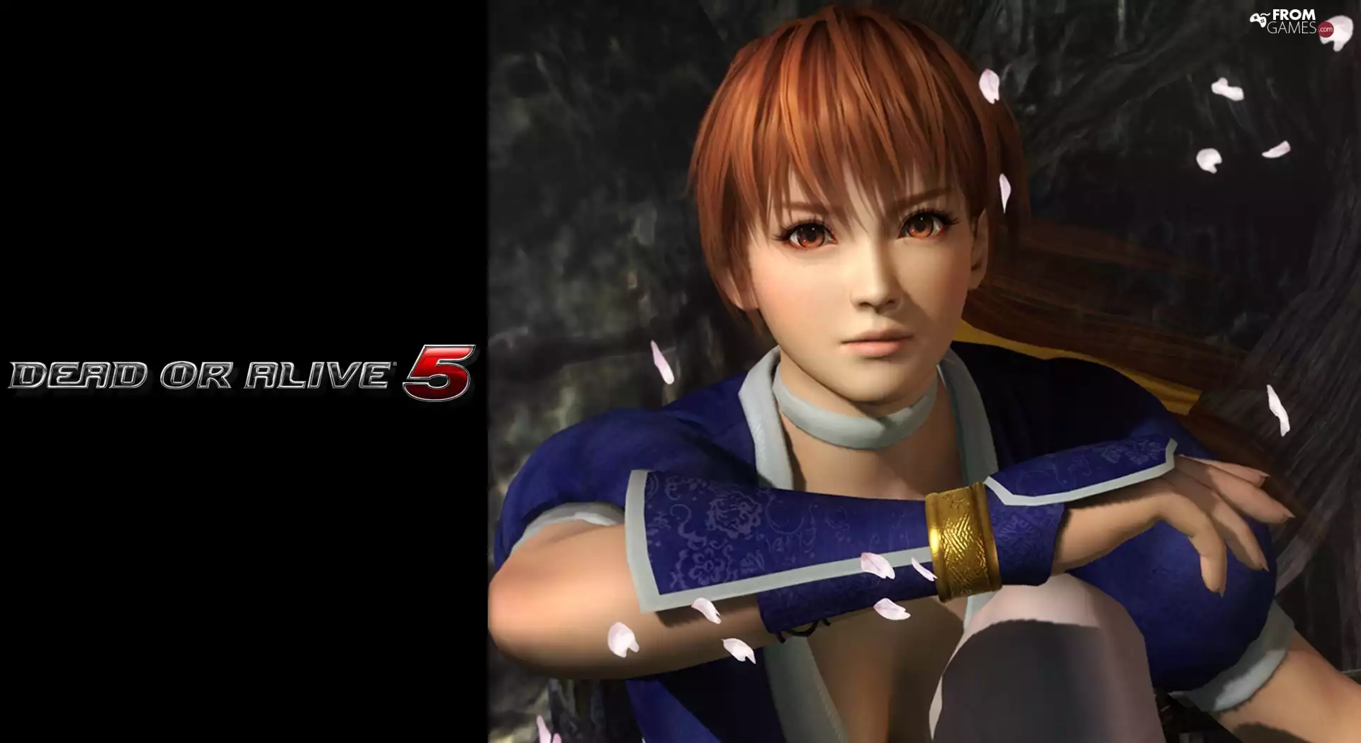 Dead Of Alive 5, Kasumi