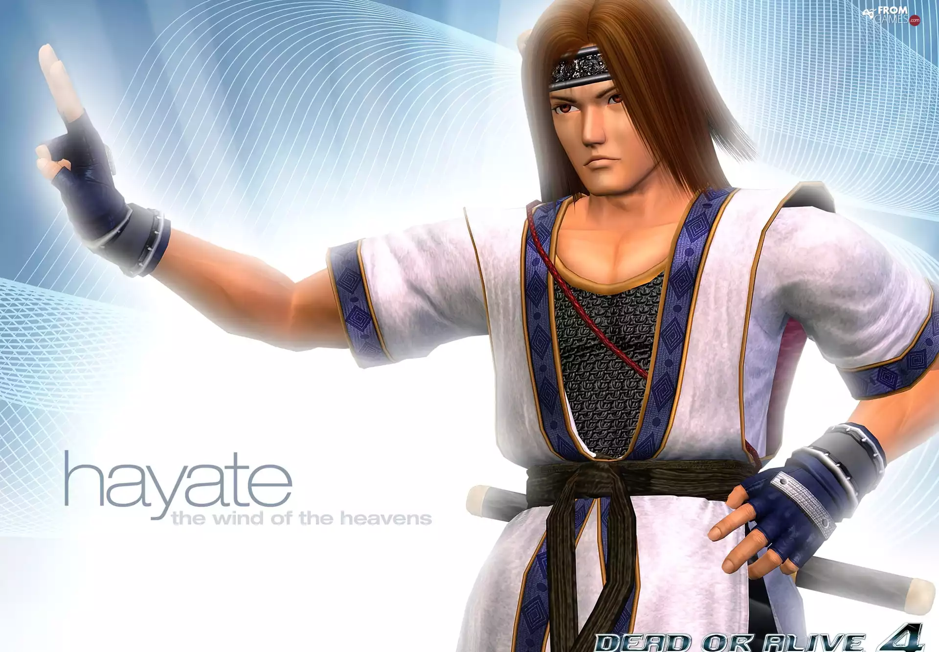 Dead Or Alive 4, Hayate