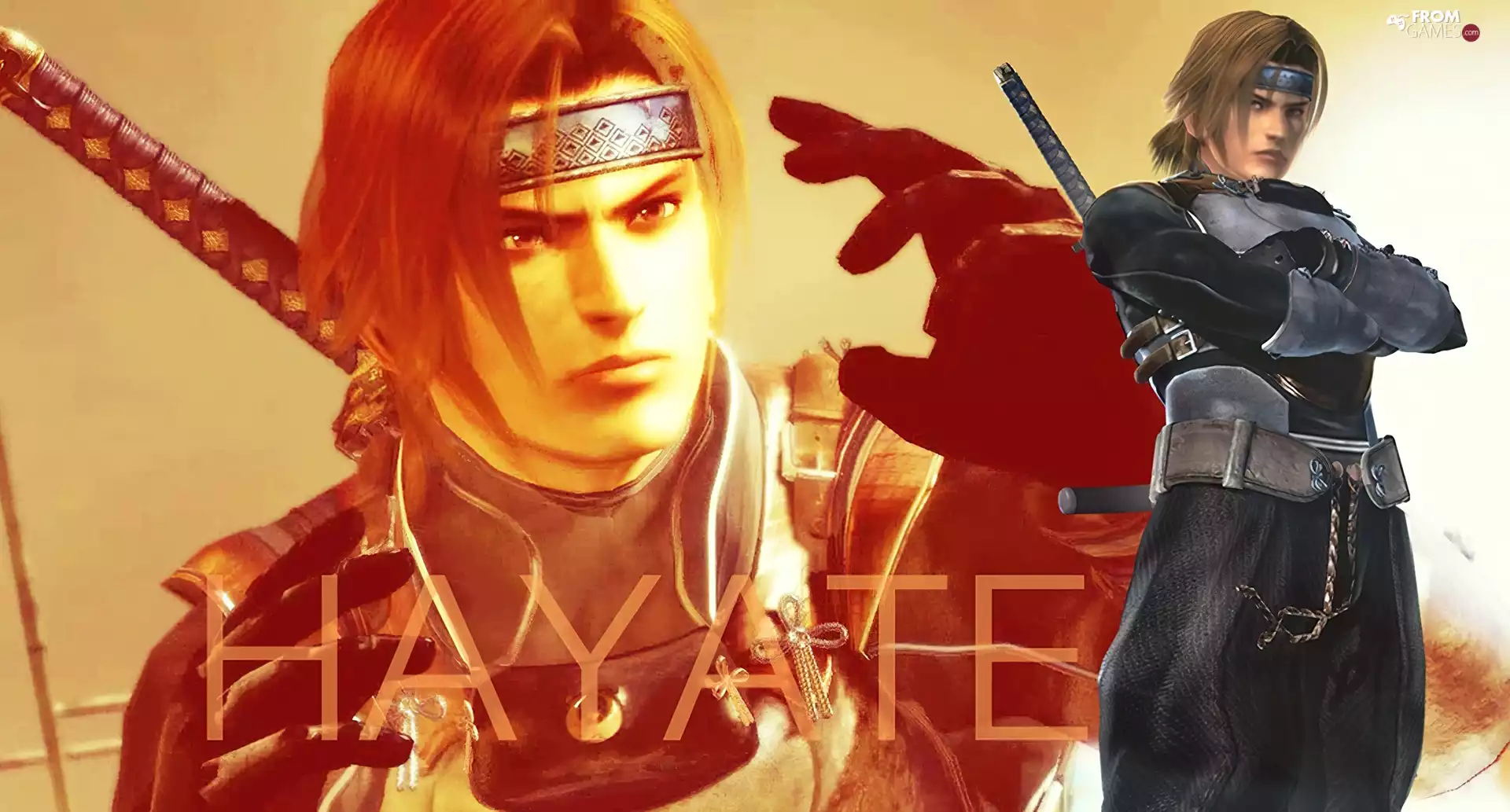 Dead Or Alive 5, Hayate