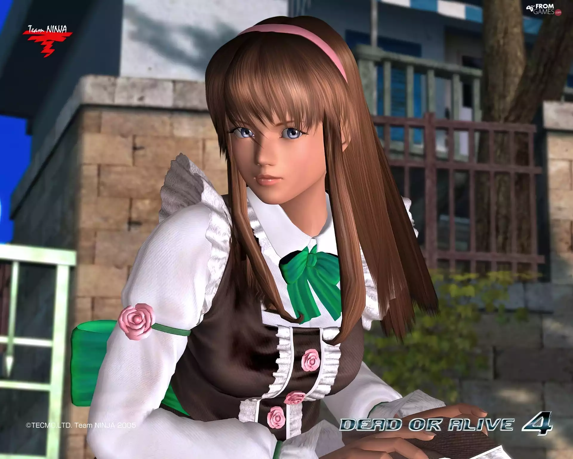 Dead Or Alive 4, Hitomi