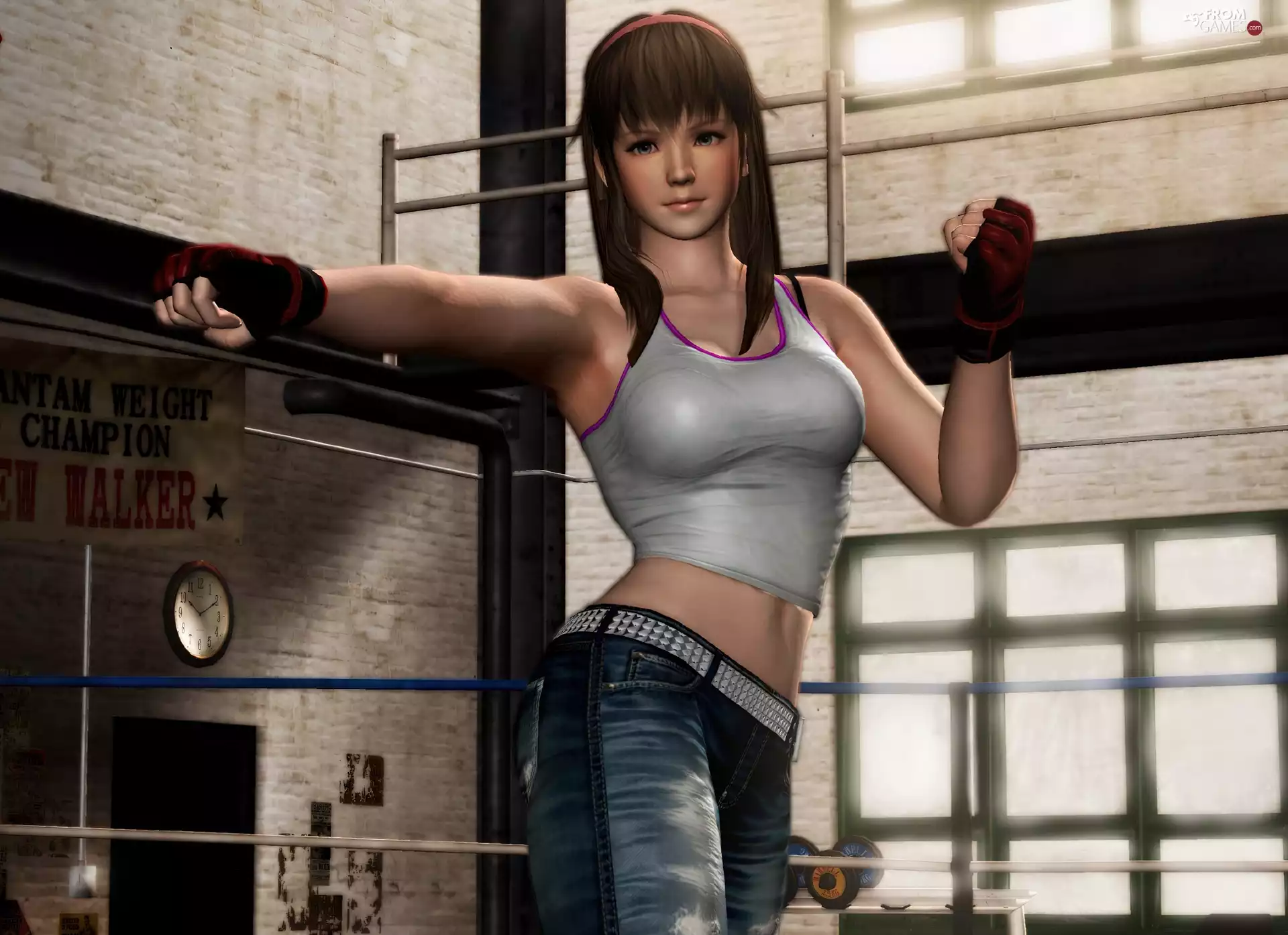 Dead Or Alive 5, Hitomi