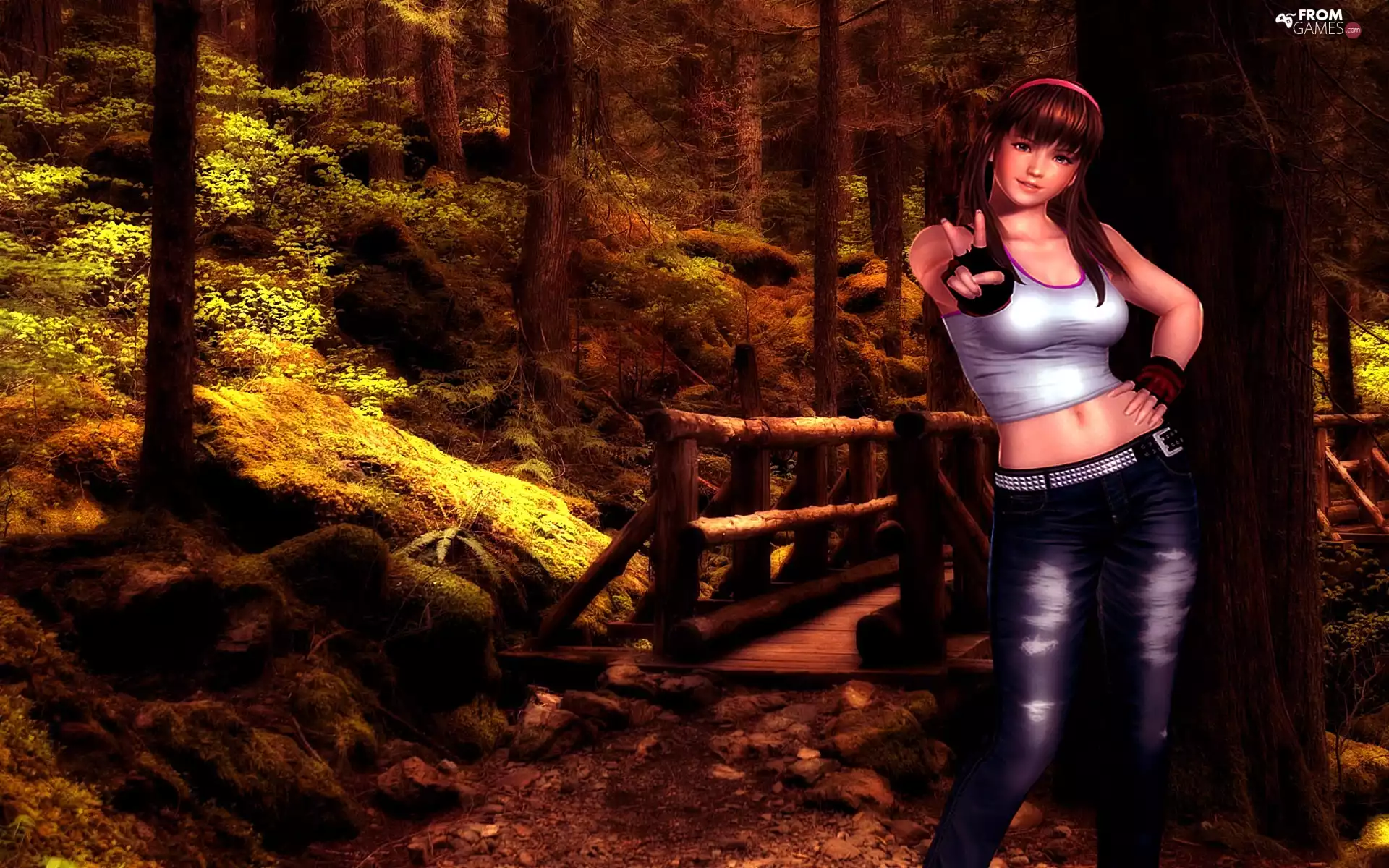 Dead Or Alive 5, Hitomi