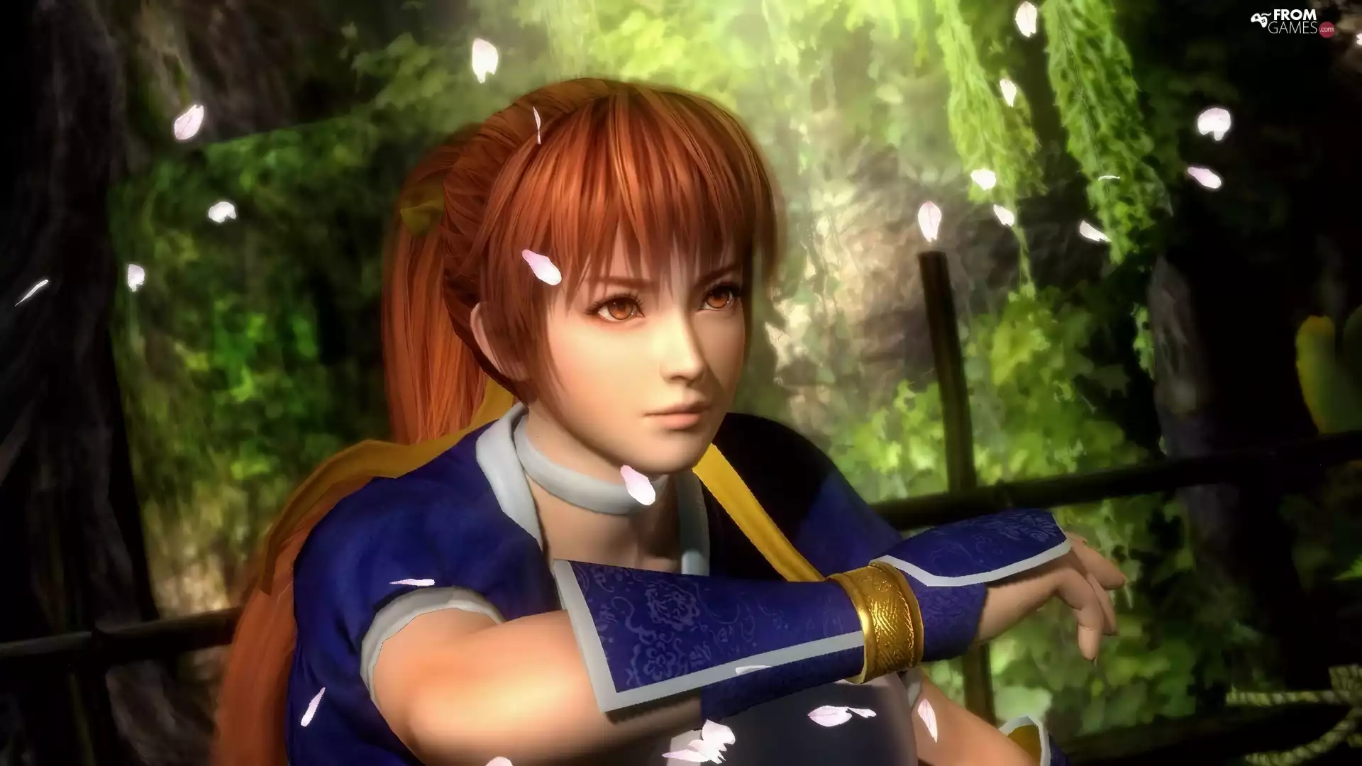 Dead Or Alive 5, Kasumi