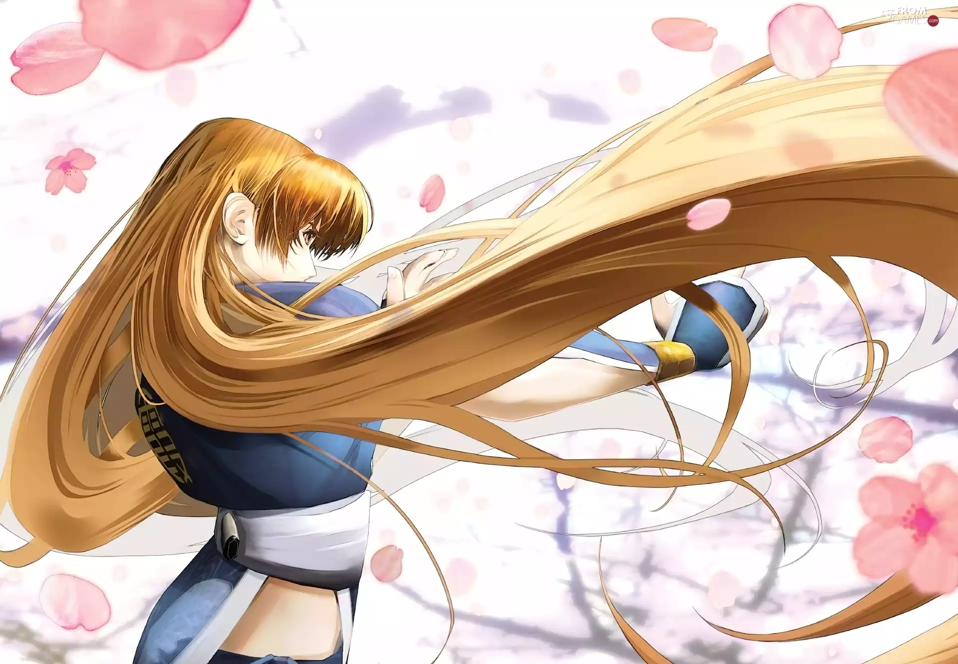 Dead Or Alive Dimension, Kasumi