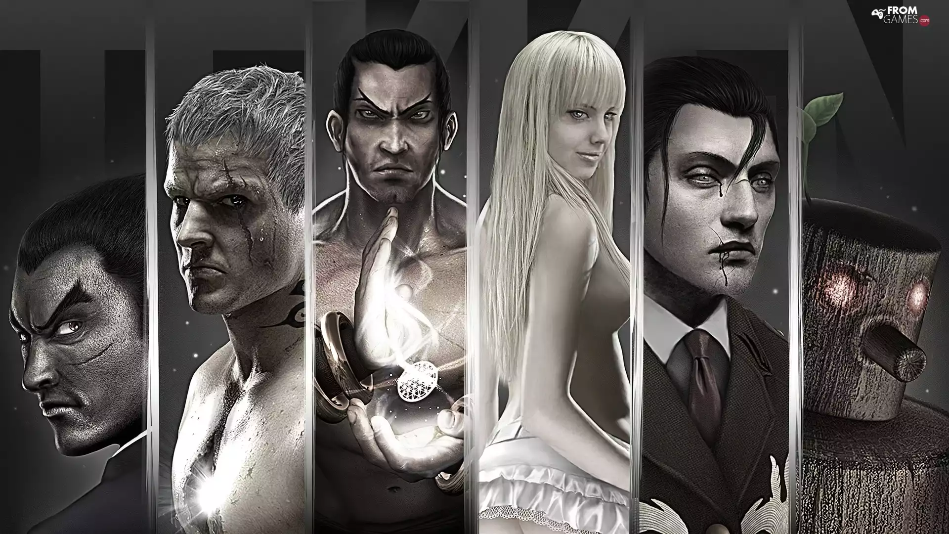 Tekken Tag Tournament 2, Characters