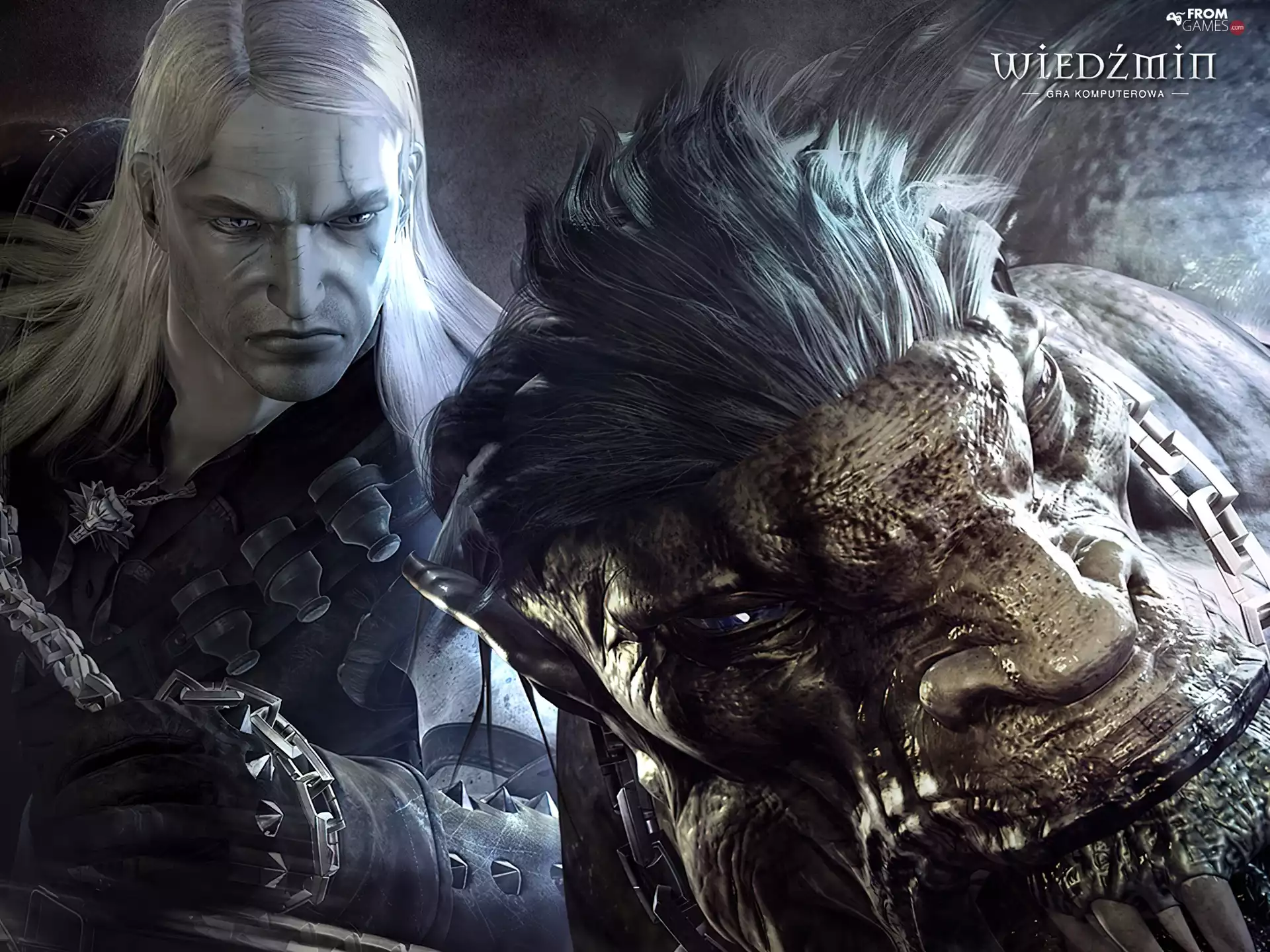 monster, the witcher, a man