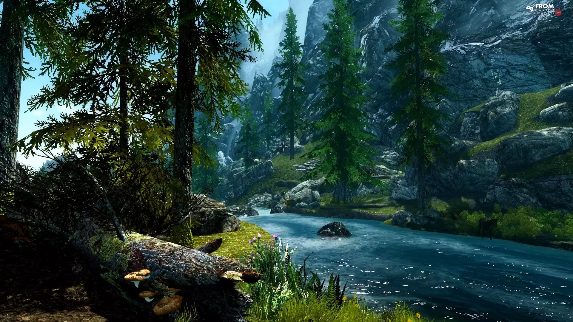 Trees Game, The Elder Scrolls V Skyrim, Stones, brook, rocks