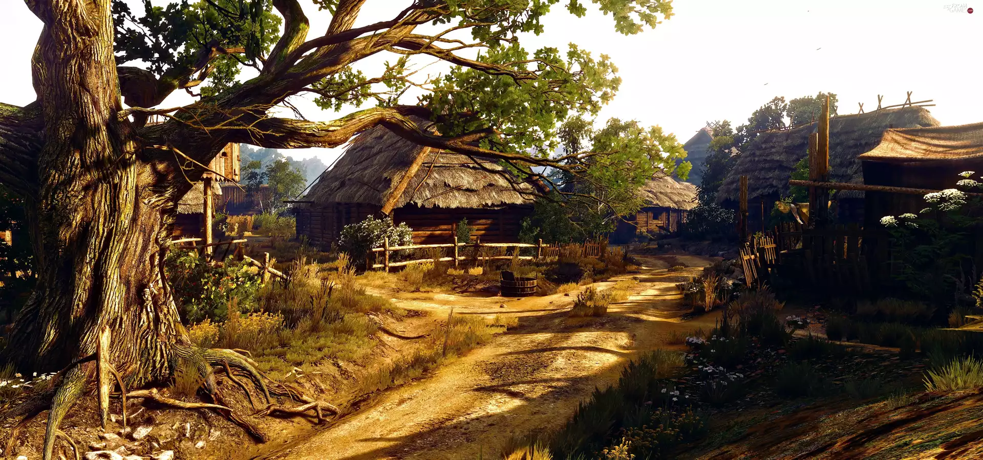 Way, huts, village, trees, The Witcher 3