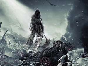 Darksiders 2, Field, Battle, fighter