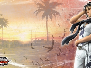 Tekken Tag Tournament 2, Jun Kazama