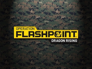 logo, Operation Flashpoint 2