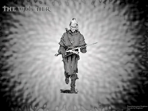 the witcher, graphics, a man, fighter