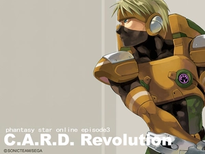 Phantasy Star Online, a man, fighter, form