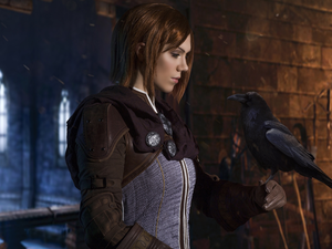 Leliana, Crow, Dragon Age: Inquisition, girl, game