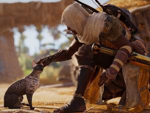 cat, Assassins Creed Origins, Bayek