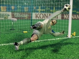 gate, Pro Evolution Soccer 5, goalkeeper, football, Ball