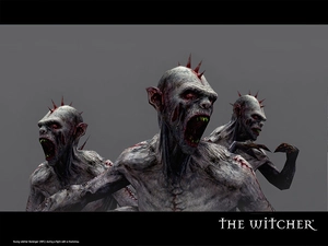 monster, canines, the witcher, Spikes