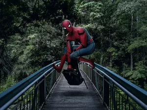 bridge, Spider-Man, costume