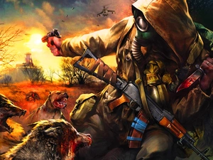 Dogs, Stalker, defence