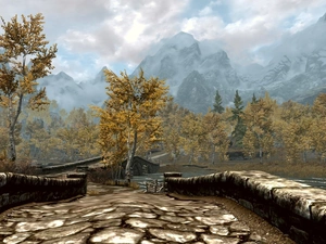Screen, Computer, Skyrim, game