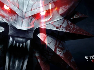 The Witcher, Computer game