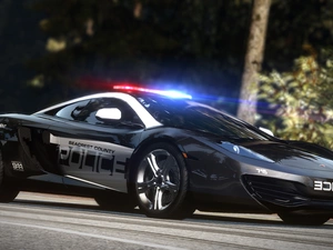 Need for Speed Hot Pursuit, Police