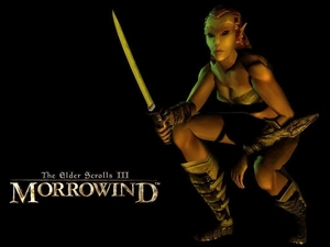 The Elder Scrolls III: Morrowind, elf