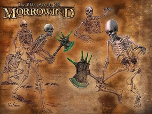 The Elder Scrolls III: Morrowind, skeletons