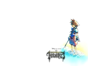 a man, Kingdom Hearts, form