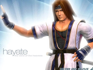 Dead Or Alive 4, Hayate