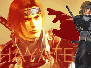 Dead Or Alive 5, Hayate