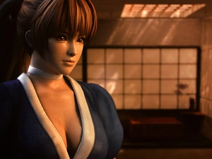 Dead Or Alive 5, Kasumi