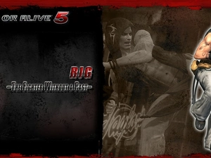 Dead Or Alive 5, Rig