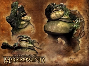 Screen, The Elder Scrolls III: Morrowind
