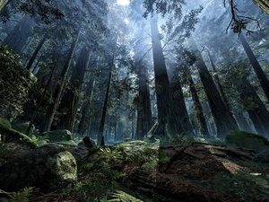 Planet Endor, game, Fog, light breaking through sky, forest, Star Wars Battlefront